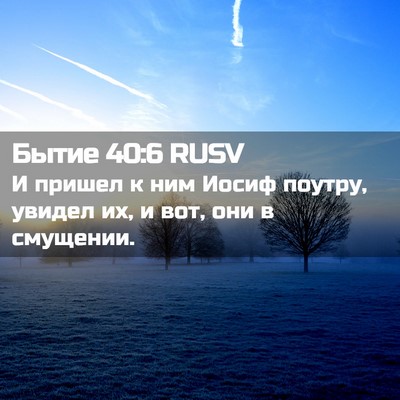 Picture 02 - Бытие 40:6 RUSV - И пришел к ним Иосиф - Bible Verse Picture