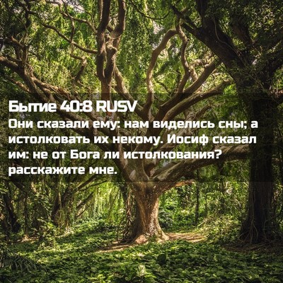 Picture 02 - Бытие 40:8 RUSV - Они сказали ему: нам - Bible Verse Picture