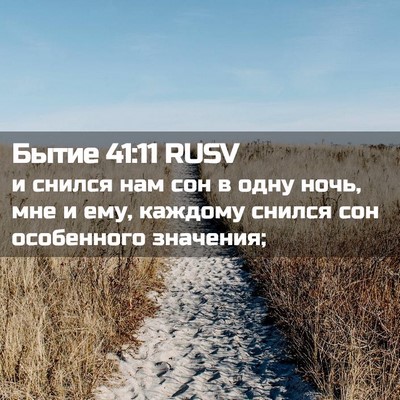 Picture 02 - Бытие 41:11 RUSV - и снился нам сон в одну - Bible Verse Picture