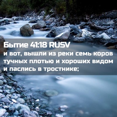 Picture 02 - Бытие 41:18 RUSV - и вот, вышли из реки семь - Bible Verse Picture