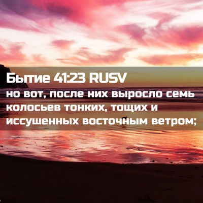 Picture 02 - Бытие 41:23 RUSV - но вот, после них выросло - Bible Verse Picture
