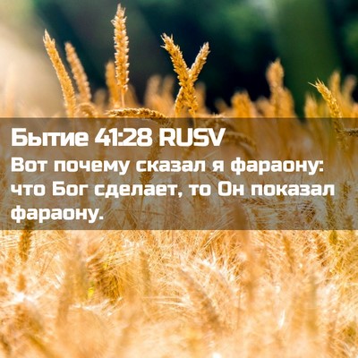 Picture 02 - Бытие 41:28 RUSV - Вот почему сказал я - Bible Verse Picture