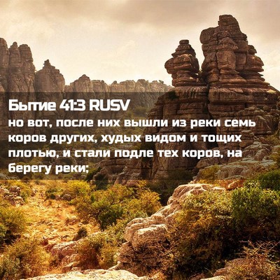 Picture 02 - Бытие 41:3 RUSV - но вот, после них вышли из - Bible Verse Picture