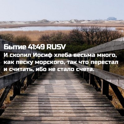 Picture 02 - Бытие 41:49 RUSV - И скопил Иосиф хлеба - Bible Verse Picture
