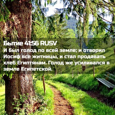 Picture 02 - Бытие 41:56 RUSV - И был голод по всей земле; и - Bible Verse Picture
