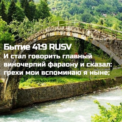 Picture 02 - Бытие 41:9 RUSV - И стал говорить главный - Bible Verse Picture