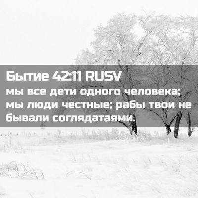 Picture 02 - Бытие 42:11 RUSV - мы все дети одного - Bible Verse Picture