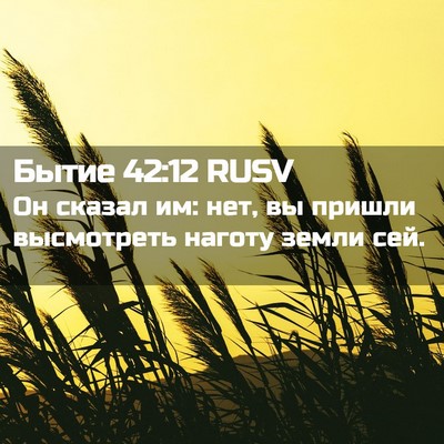 Picture 02 - Бытие 42:12 RUSV - Он сказал им: нет, вы пришли - Bible Verse Picture