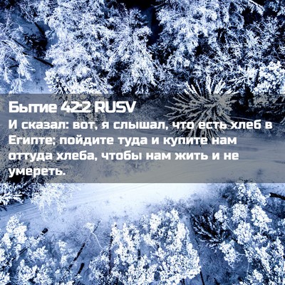 Picture 02 - Бытие 42:2 RUSV - И сказал: вот, я слышал, что - Bible Verse Picture