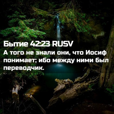 Picture 02 - Бытие 42:23 RUSV - А того не знали они, что - Bible Verse Picture