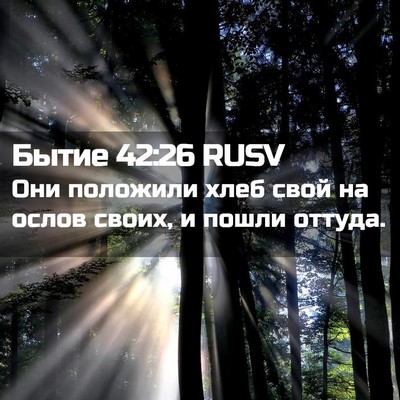 Picture 02 - Бытие 42:26 RUSV - Они положили хлеб свой на - Bible Verse Picture