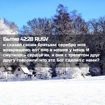 Picture 02 - Бытие 42:28 RUSV - и сказал своим братьям: - Bible Verse Picture