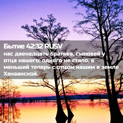 Picture 02 - Бытие 42:32 RUSV - нас двенадцать братьев, - Bible Verse Picture