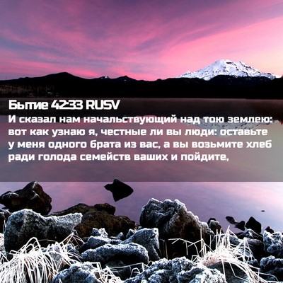 Picture 02 - Бытие 42:33 RUSV - И сказал нам - Bible Verse Picture