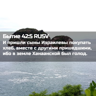 Picture 02 - Бытие 42:5 RUSV - И пришли сыны Израилевы - Bible Verse Picture