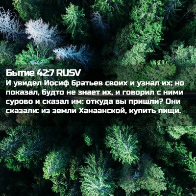 Picture 02 - Бытие 42:7 RUSV - И увидел Иосиф братьев - Bible Verse Picture