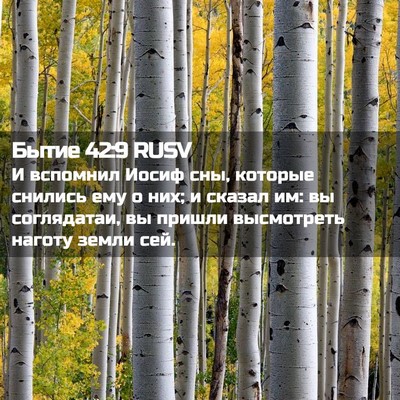 Picture 02 - Бытие 42:9 RUSV - И вспомнил Иосиф сны, - Bible Verse Picture