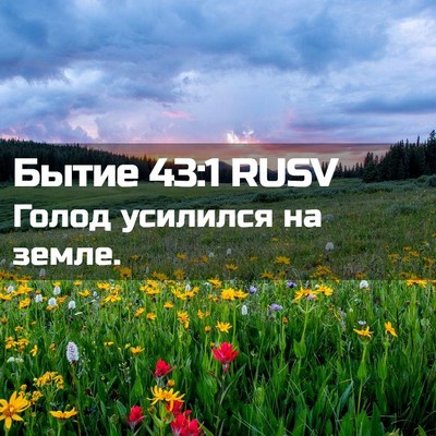 Picture 02 - Бытие 43:1 RUSV - Голод усилился на - Bible Verse Picture