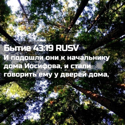 Picture 02 - Бытие 43:19 RUSV - И подошли они к начальнику - Bible Verse Picture