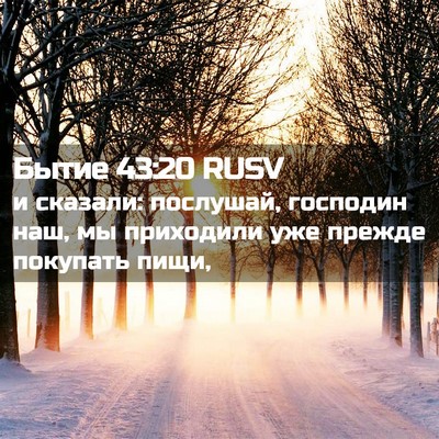 Picture 02 - Бытие 43:20 RUSV - и сказали: послушай, - Bible Verse Picture