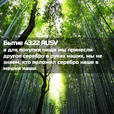Picture 02 - Бытие 43:22 RUSV - а для покупки пищи мы - Bible Verse Picture