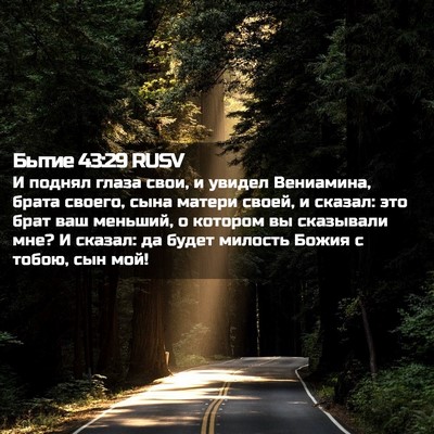 Picture 02 - Бытие 43:29 RUSV - И поднял глаза свои, и - Bible Verse Picture