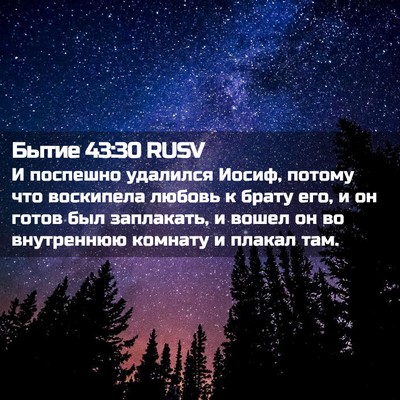 Picture 02 - Бытие 43:30 RUSV - И поспешно удалился Иосиф, - Bible Verse Picture