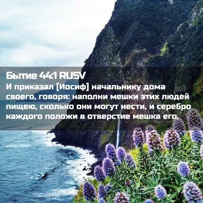 Picture 02 - Бытие 44:1 RUSV - И приказал [Иосиф] - Bible Verse Picture