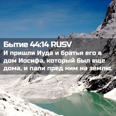 Picture 02 - Бытие 44:14 RUSV - И пришли Иуда и братья его - Bible Verse Picture