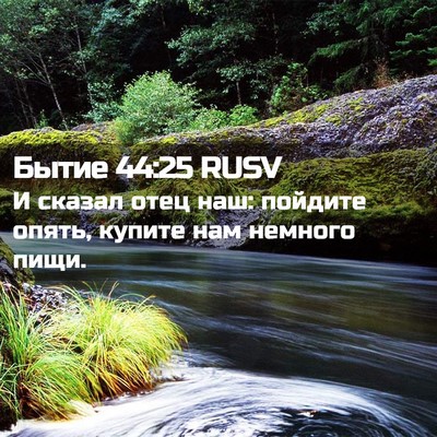Picture 02 - Бытие 44:25 RUSV - И сказал отец наш: пойдите - Bible Verse Picture