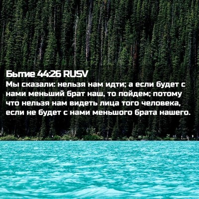 Picture 02 - Бытие 44:26 RUSV - Мы сказали: нельзя нам - Bible Verse Picture