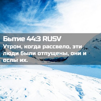 Picture 02 - Бытие 44:3 RUSV - Утром, когда рассвело, эти - Bible Verse Picture