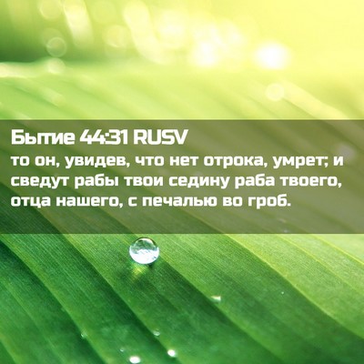 Picture 02 - Бытие 44:31 RUSV - то он, увидев, что нет - Bible Verse Picture