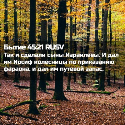 Picture 02 - Бытие 45:21 RUSV - Так и сделали сыны - Bible Verse Picture