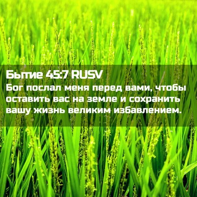 Picture 02 - Бытие 45:7 RUSV - Бог послал меня перед вами, - Bible Verse Picture