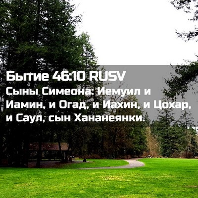 Picture 02 - Бытие 46:10 RUSV - Сыны Симеона: Иемуил и - Bible Verse Picture