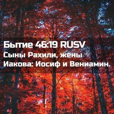 Picture 02 - Бытие 46:19 RUSV - Сыны Рахили, жены Иакова: - Bible Verse Picture
