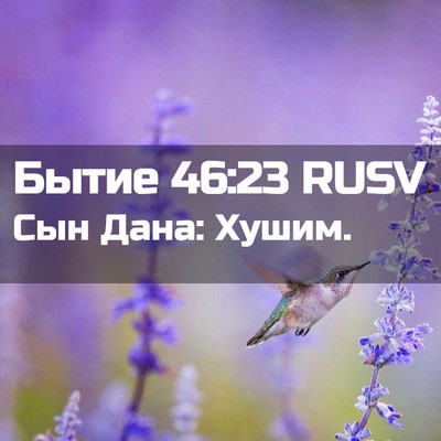 Picture 02 - Бытие 46:23 RUSV - Сын Дана: - Bible Verse Picture