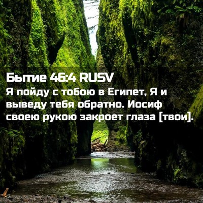 Picture 02 - Бытие 46:4 RUSV - Я пойду с тобою в Египет, Я - Bible Verse Picture