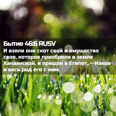 Picture 02 - Бытие 46:6 RUSV - И взяли они скот свой и - Bible Verse Picture
