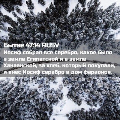 Picture 02 - Бытие 47:14 RUSV - Иосиф собрал все серебро, - Bible Verse Picture