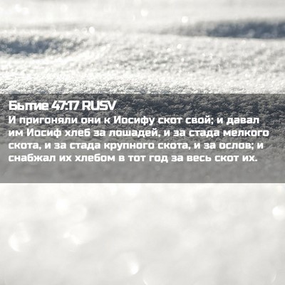 Picture 02 - Бытие 47:17 RUSV - И пригоняли они к Иосифу - Bible Verse Picture