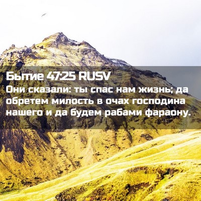 Picture 02 - Бытие 47:25 RUSV - Они сказали: ты спас нам - Bible Verse Picture