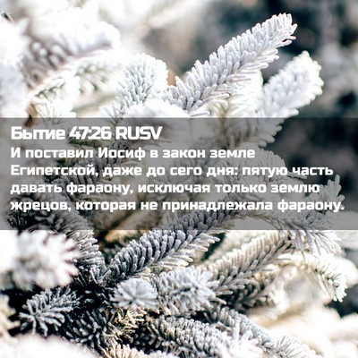 Picture 02 - Бытие 47:26 RUSV - И поставил Иосиф в закон - Bible Verse Picture