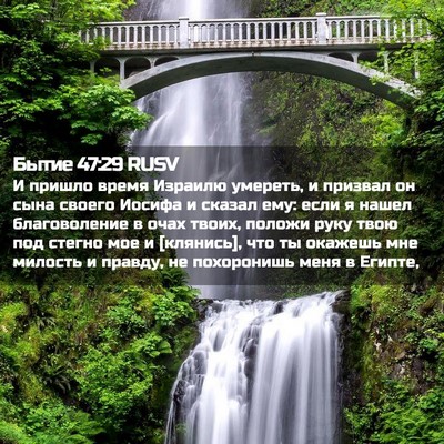 Picture 02 - Бытие 47:29 RUSV - И пришло время Израилю - Bible Verse Picture