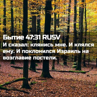 Picture 02 - Бытие 47:31 RUSV - И сказал: клянись мне. И - Bible Verse Picture