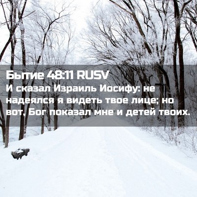 Picture 02 - Бытие 48:11 RUSV - И сказал Израиль Иосифу: не - Bible Verse Picture