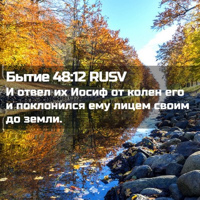 Picture 02 - Бытие 48:12 RUSV - И отвел их Иосиф от колен - Bible Verse Picture