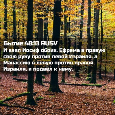 Picture 02 - Бытие 48:13 RUSV - И взял Иосиф обоих, Ефрема - Bible Verse Picture