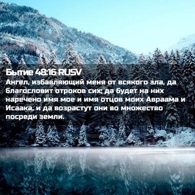 Picture 02 - Бытие 48:16 RUSV - Ангел, избавляющий меня от - Bible Verse Picture